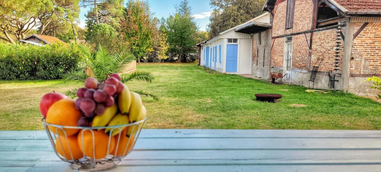 Charmante Maison Dans Les Landes X 10 Avec Piscine Et Salle D Escalade Lue Exteriör bild