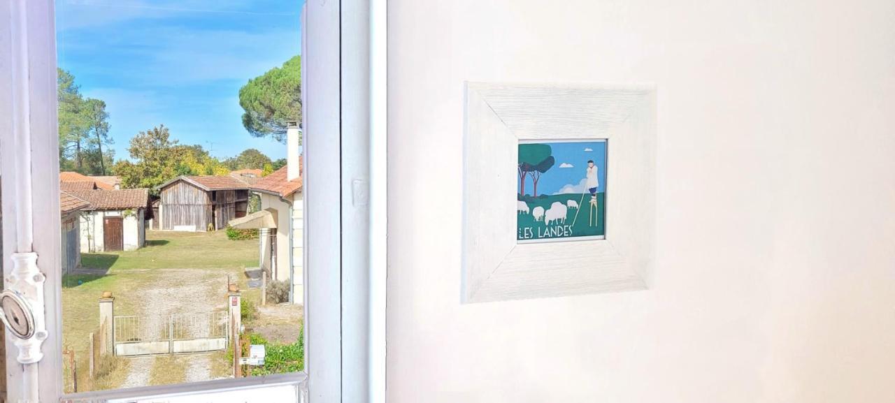 Charmante Maison Dans Les Landes X 10 Avec Piscine Et Salle D Escalade Lue Exteriör bild